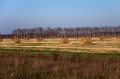 Старая Рязань