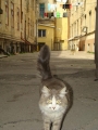 Одесса 8 Одесса 8