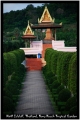 Kirill Zolotoff. Thailand. Nong Nooch Tropical Garden Kirill Zolotoff. Thailand. Nong Nooch Tropical Garden