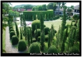 Kirill Zolotoff. Thailand. Nong Nooch Tropical Garden Kirill Zolotoff. Thailand. Nong Nooch Tropical Garden
