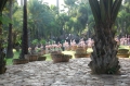 Nong Nooch Tropical Botanical Garden 8 Nong Nooch Tropical Botanical Garden 8