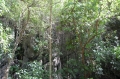 Самуи - Ko Mae - Talay Nai 4 Самуи - Ko Mae - Talay Nai 4