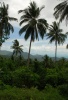 Samui 12 Samui 12