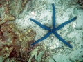 Underwater Lipe 2008.01 Underwater Lipe 2008.01