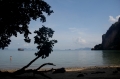 Thai Thai