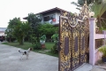 Phi Phi - Phuket - Bкк_ 2009 /фотоотчет