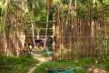 Phi Phi - Phuket - Bкк_ 2009 /фотоотчет