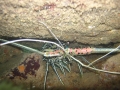 Khaolak3_ Khaolak3_