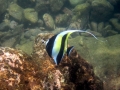 Khaolak2_ 8 Khaolak2_ 8
