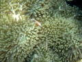 Ko Lanta4_ 2 Ko Lanta4_ 2