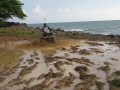 Паттая-Ко Чанг(Lonely beach)-Бангкок-Канчанабури.Май 2008