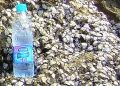 Ао Нанг Ракушечник Ао Нанг Ракушечник
