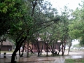 Tarutao Tarutao
