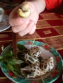 Улит Улит