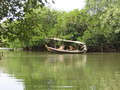 Goa Goa