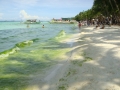 boracay 9 boracay 9