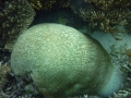 Подводная 2 Подводная 2