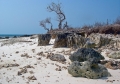 Java island - Ujung Kulon national park Java island - Ujung Kulon national park