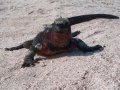 islas galapagos islas galapagos