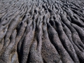 Lava Lava
