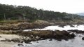 17-mile Drive& Highway1 4 17-mile Drive& Highway1 4