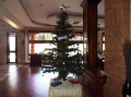 Камбоджа. Отель Apsara Holiday 7 Камбоджа. Отель Apsara Holiday 7