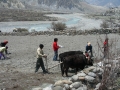 Manang district, Nepal