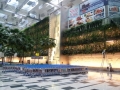 Changi 5 Changi 5