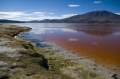 Laguna colorada 4