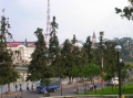 Далат Далат