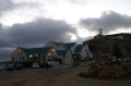 Hermanus Hermanus