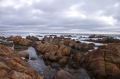 Hermanus Hermanus