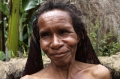 papua 10 papua 10