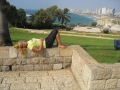 Путешествие по Израилю двух девушек. ОКОНЧАНИЕ (+фотки)