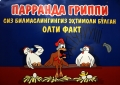 Малайзия 8 Малайзия 8