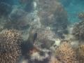 IMG_0305 IMG_0305