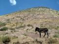 Real de Catorce 7 Real de Catorce 7