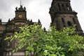 Мексика.Кафедральный собор в Мехико Мексика.Кафедральный собор в Мехико
