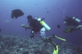 Blue Corner, Palau 4 Blue Corner, Palau 4