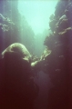 Virgin Holes, Palau