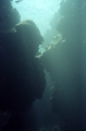 Virgin Holes, Palau 2