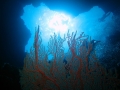 И снова Blue Holes