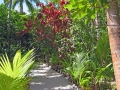 Mounu Island Resort (Vavau, Tonga) Mounu Island Resort (Vavau, Tonga)
