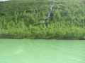Svartisvatnet Svartisvatnet