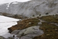 Kjerag_1 Kjerag_1