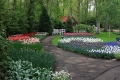 Голландия. Парк цветов Keukenhof Голландия. Парк цветов Keukenhof