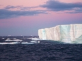 Antarctica! Antarctica!
