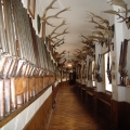 чешский крумлов 7 чешский крумлов 7