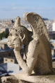 Горгулия Горгулия