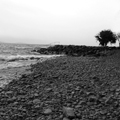 Лютри, Лозанна, Во